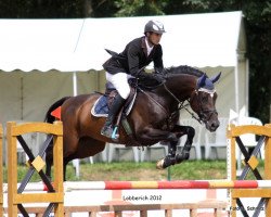 jumper Grimaldi 78 (Hanoverian, 2006, from Graf Top)