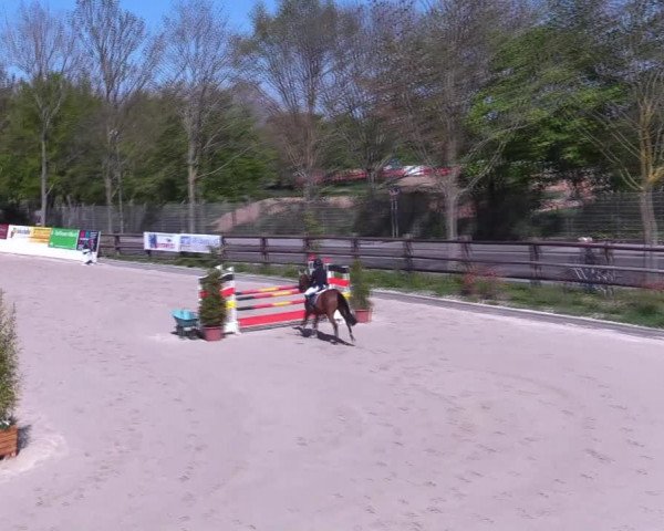 Reitturnier Monheim - Gut Blee 2022