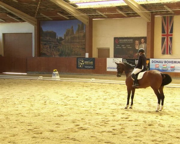 Reitturnier Weikersdorf am Steinfelde 2022