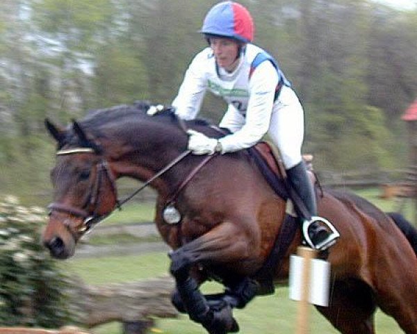 jumper Robinson's Concord (Holsteiner, 1990, from Chromatic xx)