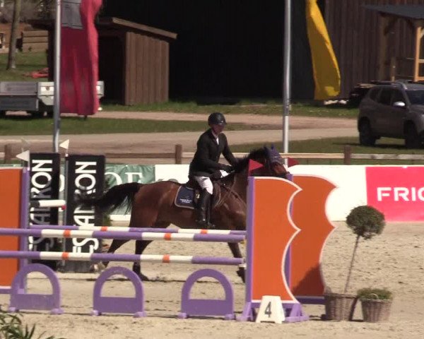 Reitturnier Westergellersen 2022