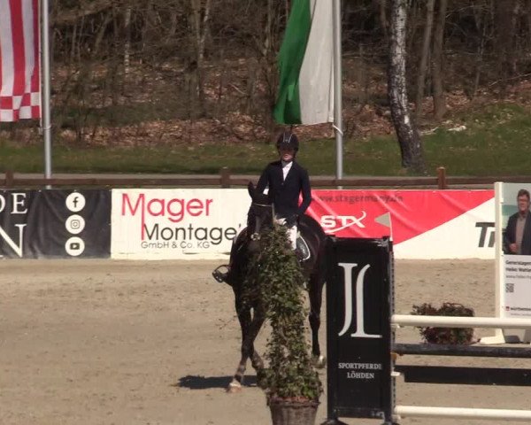 Reitturnier Westergellersen 2022