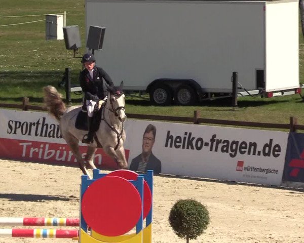 Reitturnier Westergellersen 2022