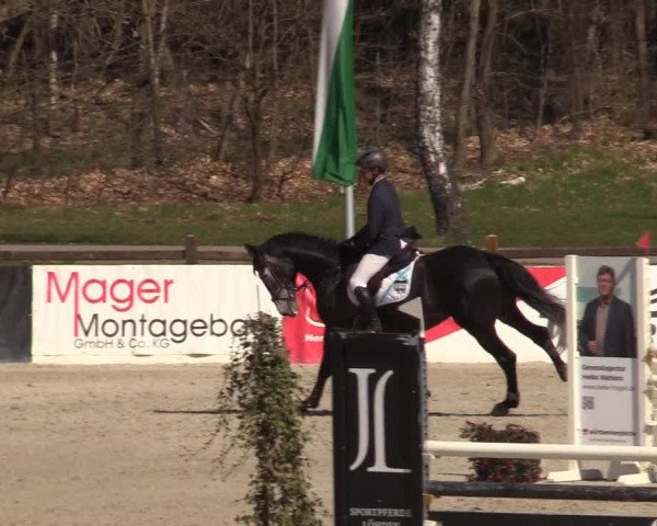 Reitturnier Westergellersen 2022