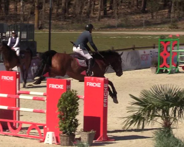 Reitturnier Westergellersen 2022