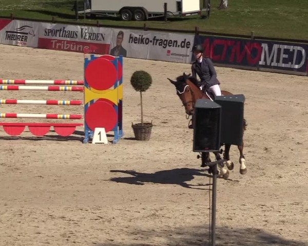 Reitturnier Westergellersen 2022
