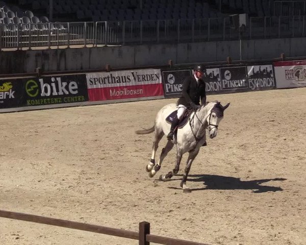Reitturnier Westergellersen 2022