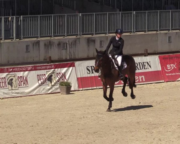 Reitturnier Westergellersen 2022