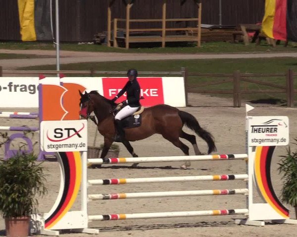 Reitturnier Westergellersen 2022
