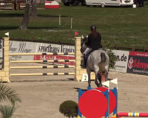 Reitturnier Westergellersen 2022