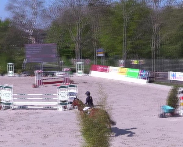 Reitturnier Monheim - Gut Blee 2022