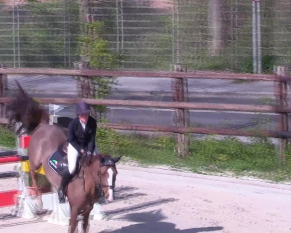 Reitturnier Monheim - Gut Blee 2022