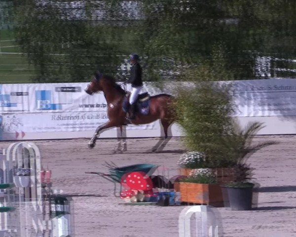 Reitturnier Monheim - Gut Blee 2022