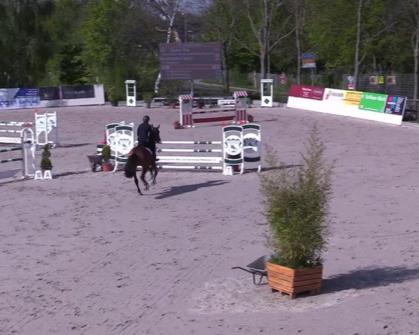 Reitturnier Monheim - Gut Blee 2022