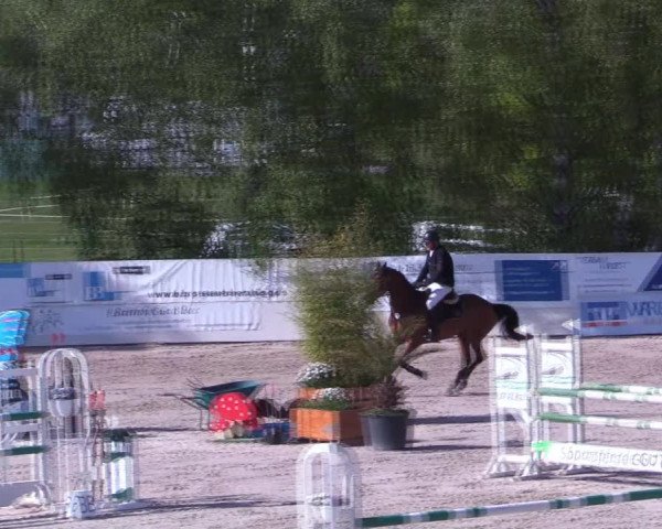 Reitturnier Monheim - Gut Blee 2022