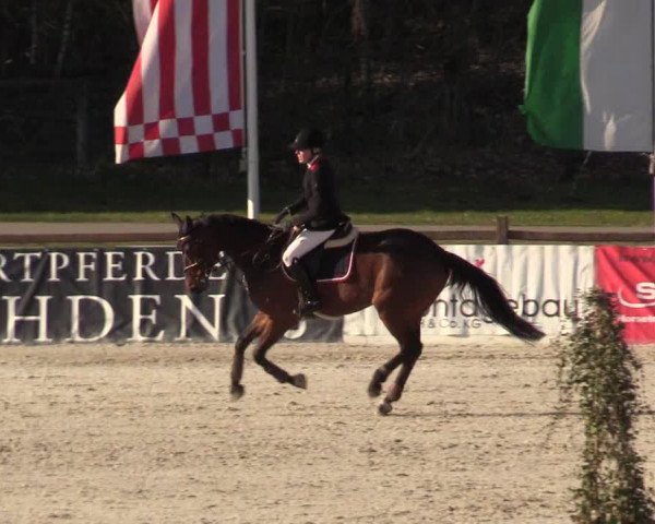 Reitturnier Westergellersen 2022