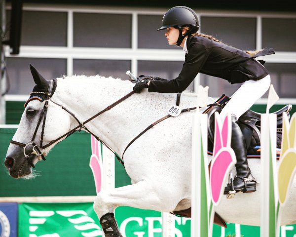 jumper Vasco S (KWPN (Royal Dutch Sporthorse), 2002, from Dillenburg)