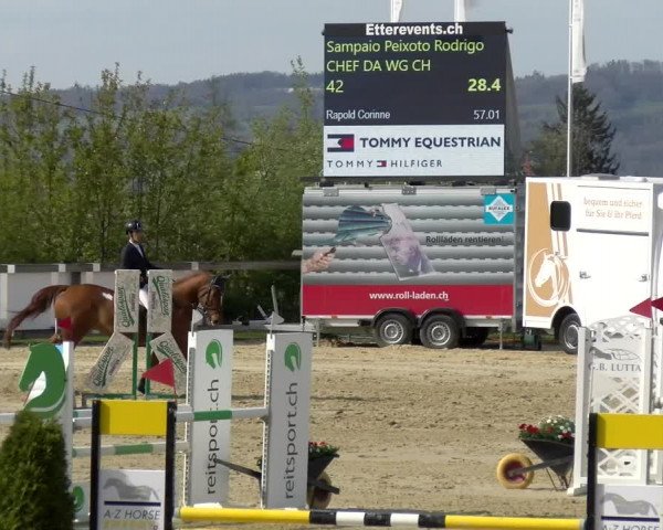 Reitturnier Wädenswil 2022