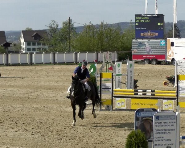 Reitturnier Wädenswil 2022