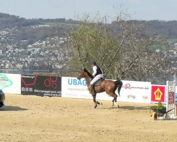 Reitturnier Wädenswil 2022