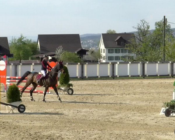 Reitturnier Wädenswil 2022