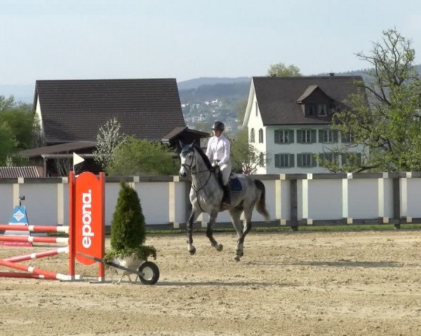Reitturnier Wädenswil 2022