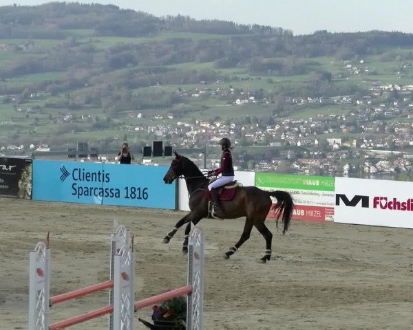 Reitturnier Wädenswil 2022