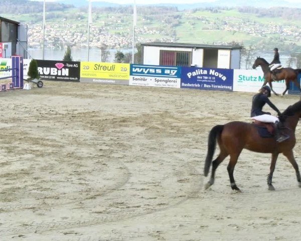 Reitturnier Wädenswil 2022