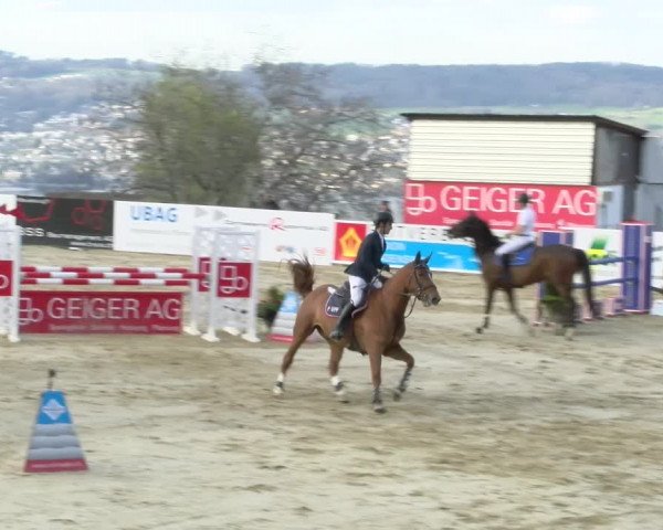 Reitturnier Wädenswil 2022