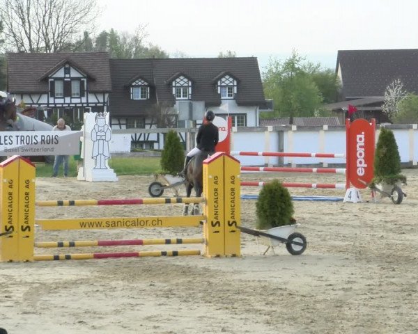Reitturnier Wädenswil 2022