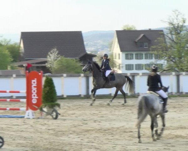 Reitturnier Wädenswil 2022