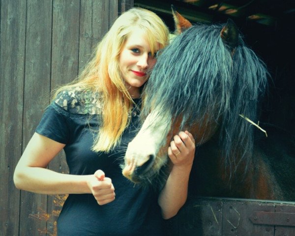 Deckhengst Glantir Macaulay (Welsh Pony (Sek.B), 1995, von Møllegårds Spartacus) Deckhengst Glantir Macaulay (Welsh Pony (Sek.B), 1995, von Møllegårds Spartacus)