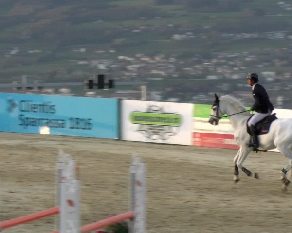 Reitturnier Wädenswil 2022