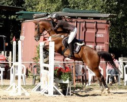 jumper Robin (Rhinelander, 2002, from Rockwell)