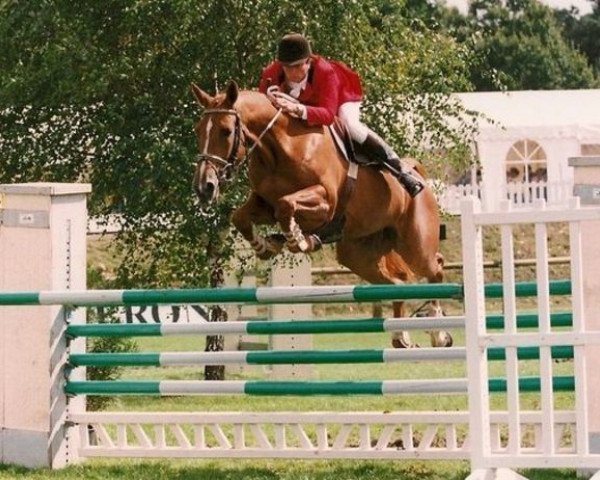 broodmare Canaille des Vaux (Selle Français, 1990, from Super de Bourrière)