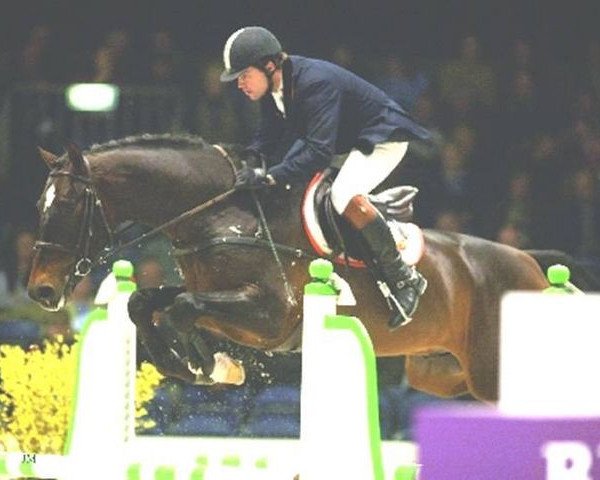 Deckhengst Pacific (KWPN (Niederländisches Warmblut), 1997, von Corland) Deckhengst Pacific (KWPN (Niederländisches Warmblut), 1997, von Corland)