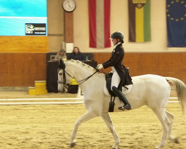 Reitturnier Weikersdorf am Steinfelde 2022