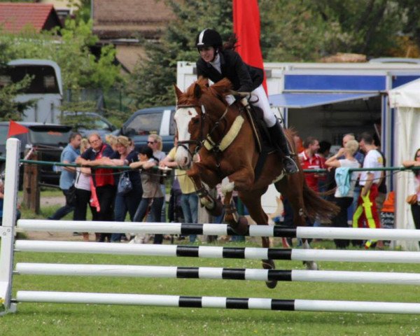 jumper Chasper (Brandenburg, 1999, from Corde de Leon)
