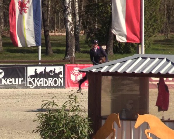 Reitturnier Westergellersen 2022
