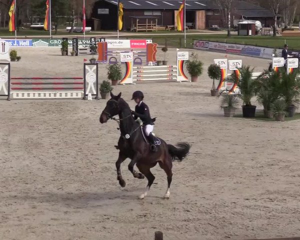 Reitturnier Westergellersen 2022