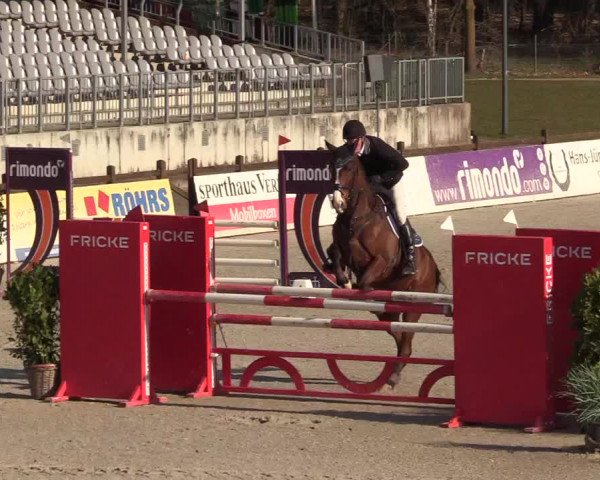 Reitturnier Westergellersen 2022