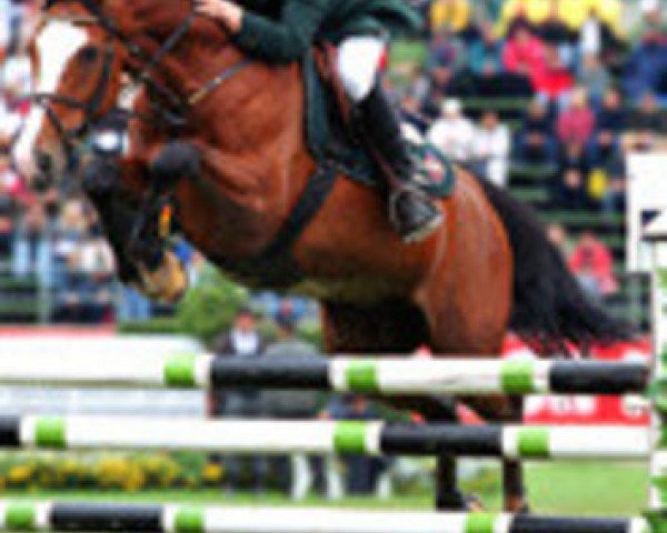 broodmare Panama (Rhinelander, 1989, from Pilot)