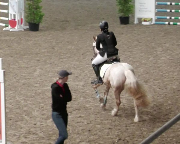 Reitturnier Waghäusel-Wiesental 2022