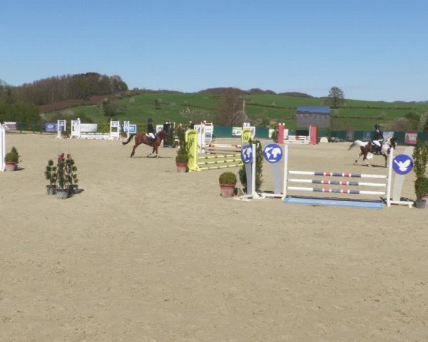 Reitturnier Lindlar-Süttenbach 2022