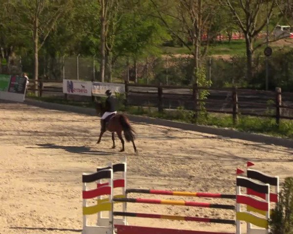 Reitturnier Monheim - Gut Blee 2022