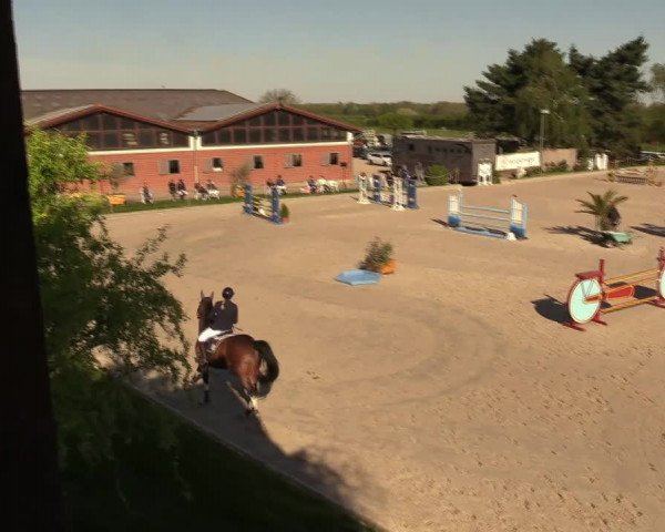 Reitturnier Monheim - Gut Blee 2022
