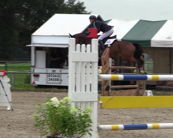 Reitturnier Haltern am See 2021