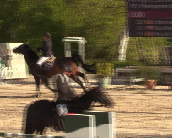 Reitturnier Monheim - Gut Blee 2022