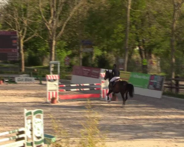 Reitturnier Monheim - Gut Blee 2022