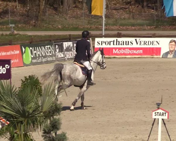 Reitturnier Westergellersen 2022